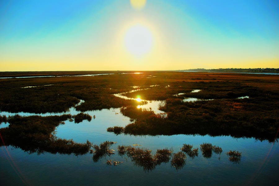 Pantanos de agua salada de Ria Formosa, en Algarve (Portugal) (Foto Flickr de Daeveb)