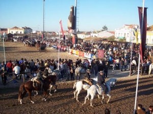 Feria Nacional del Caballo en Golega