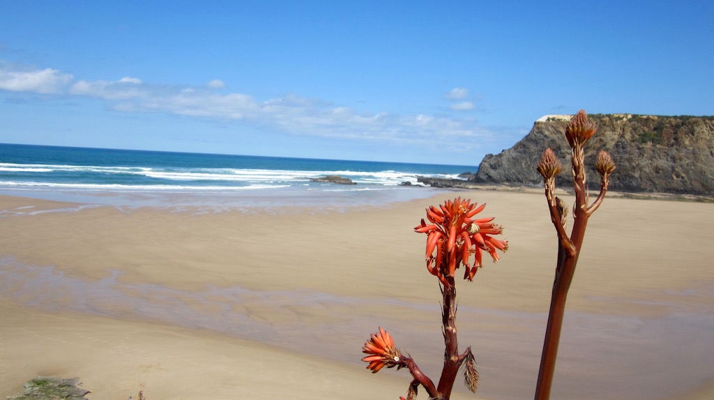 Playa de Odeceixe, en la Costa Vicentina, más desierta y salvaje que las del Algarve. © María Calvo.